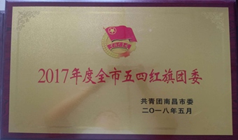 2017年度全市五四红旗团委